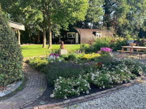 Tinyhouse in Bakkeveen